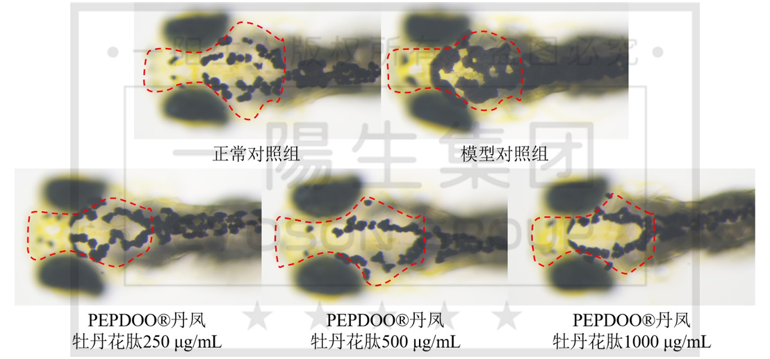 尊龙凯时人生就是博·Z6(中国)官方网站